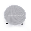 Professional PA System 100v Line Array Ceiling Speakers